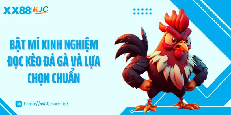 Bật mí kinh nghiệm đọc kèo đá gà và lựa chọn chuẩn