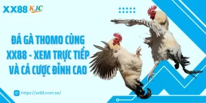 Đá Gà Thomo Cùng XX88 - Xem Trực Tiếp Và Cá Cược Đỉnh Cao
