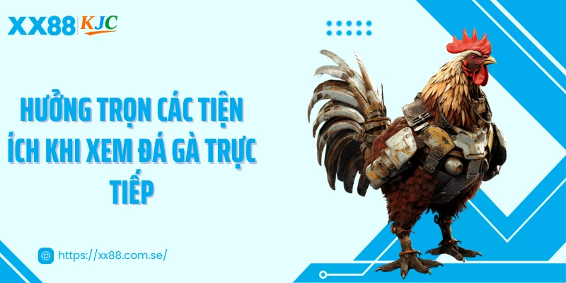 Hưởng trọn các tiện ích khi xem đá gà trực tiếp