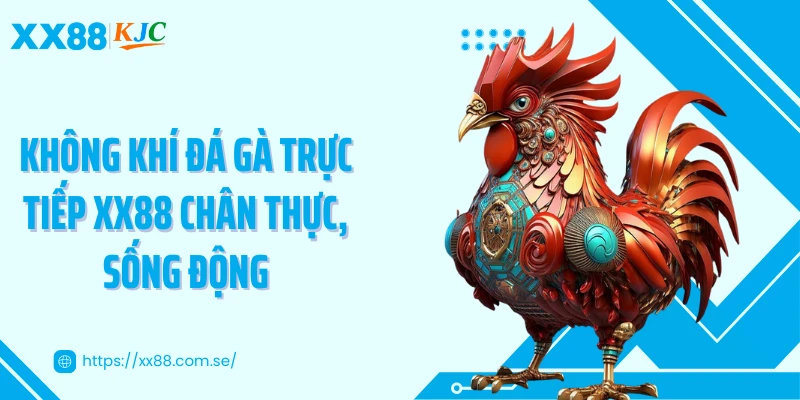 Không khí đá gà trực tiếp XX88 chân thực, sống động