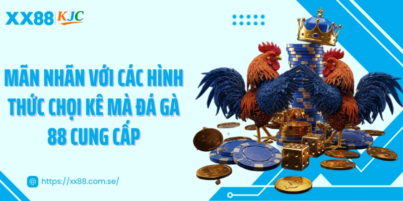 Mãn nhãn với các hình thức chọi kê mà đá gà 88 cung cấp