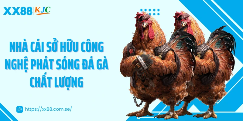 Nhà cái sở hữu công nghệ phát sóng đá gà chất lượng