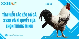 Tìm Hiểu Các Kèo Đá Gà Xx88 Và Bí Quyết Lựa Chọn Thông Minh